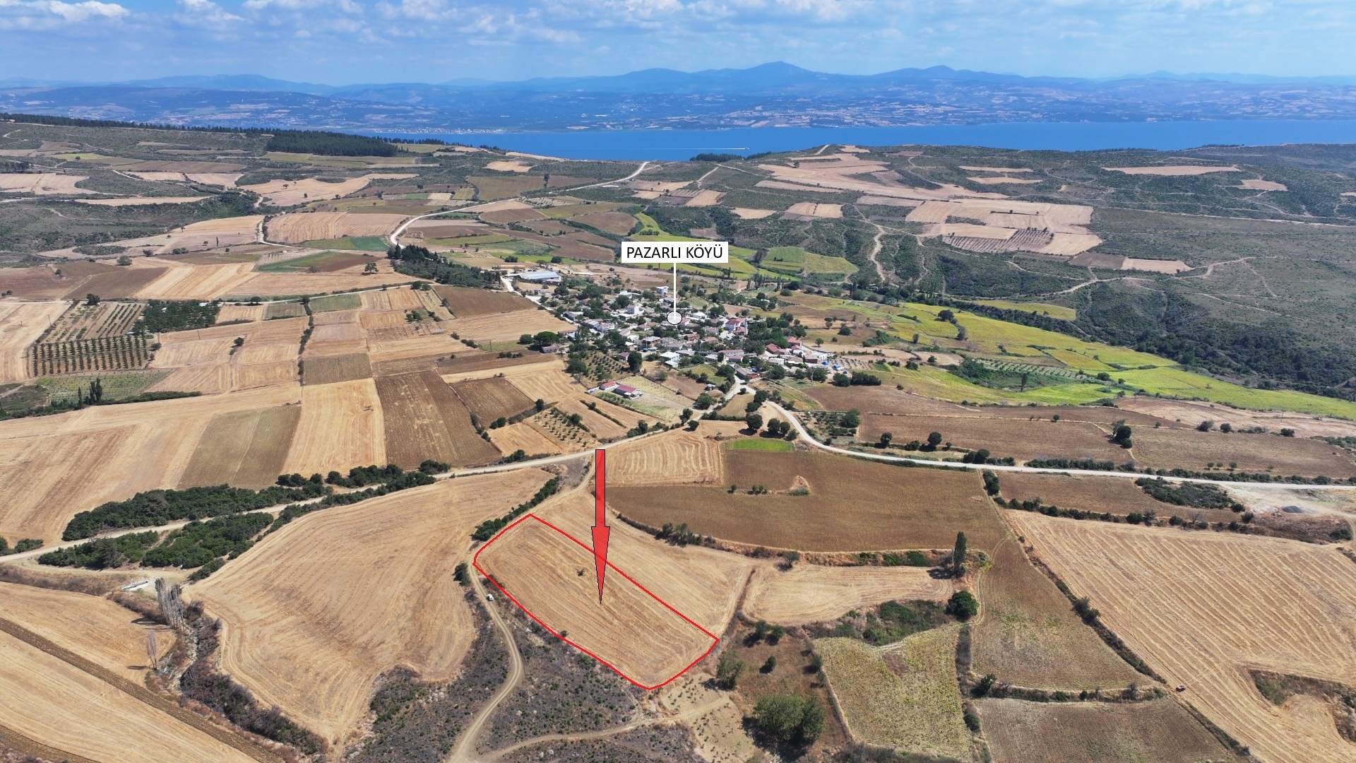 ÇANAKKALE GELİBOLU PAZARLIDA MÜSTAKİL TAPULU 6,493m2 TARLA