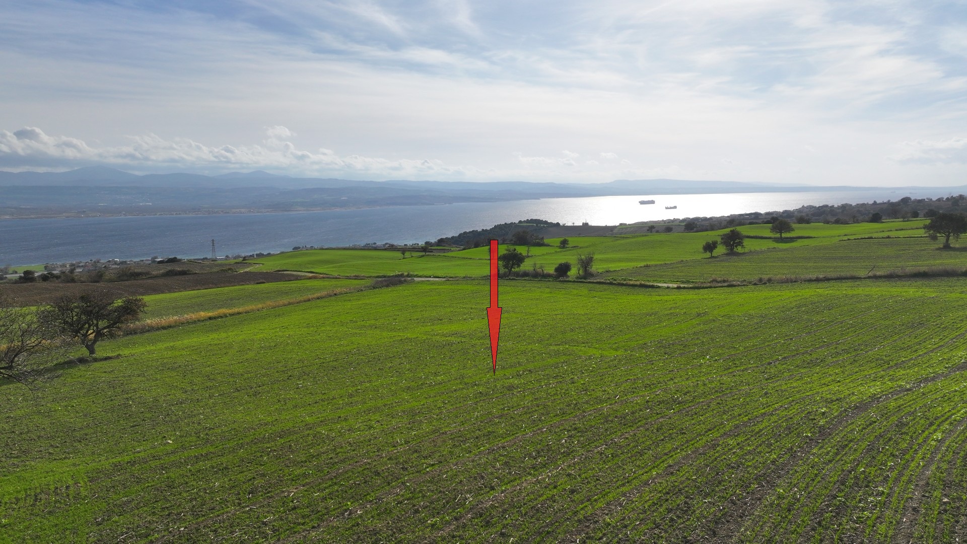 ÇANAKKALE GELİBOLU BURHANLI'DA 11,492m2 DENİZ MANZARALI TARLA