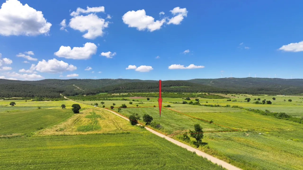 ÇANAKKALE GELİBOLU SÜLEYMANİYEDE MÜSTAKİL TAPULU 9,172m2 TARLA - görsel 7
