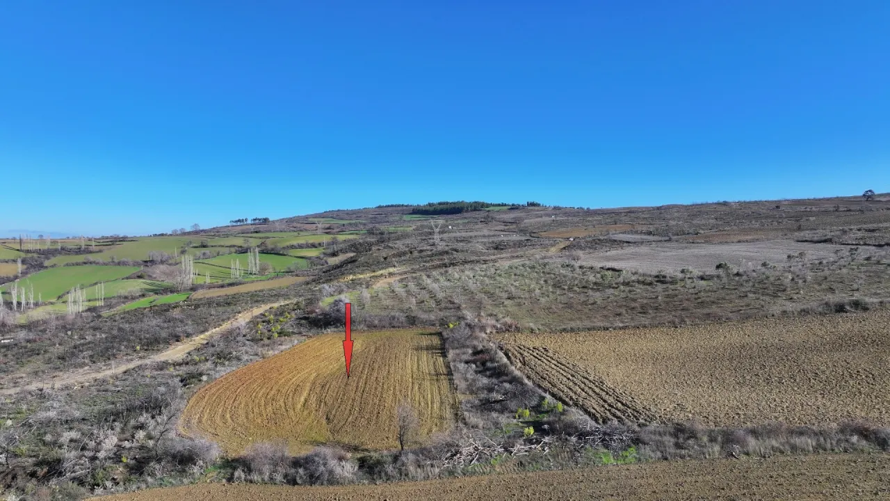 ÇANAKKALE GELİBOLU PAZARLIDA 2,885m2 TARLA - görsel 12