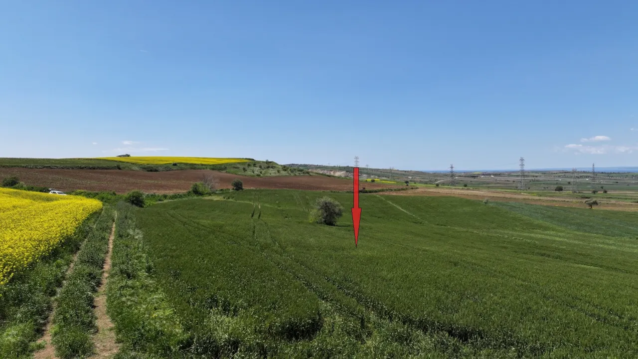 ÇANAKKALE GELİBOLU DEMİRTEPE'DE 14,223m2 MÜSTAKİL TAPULU TARLA - görsel 12