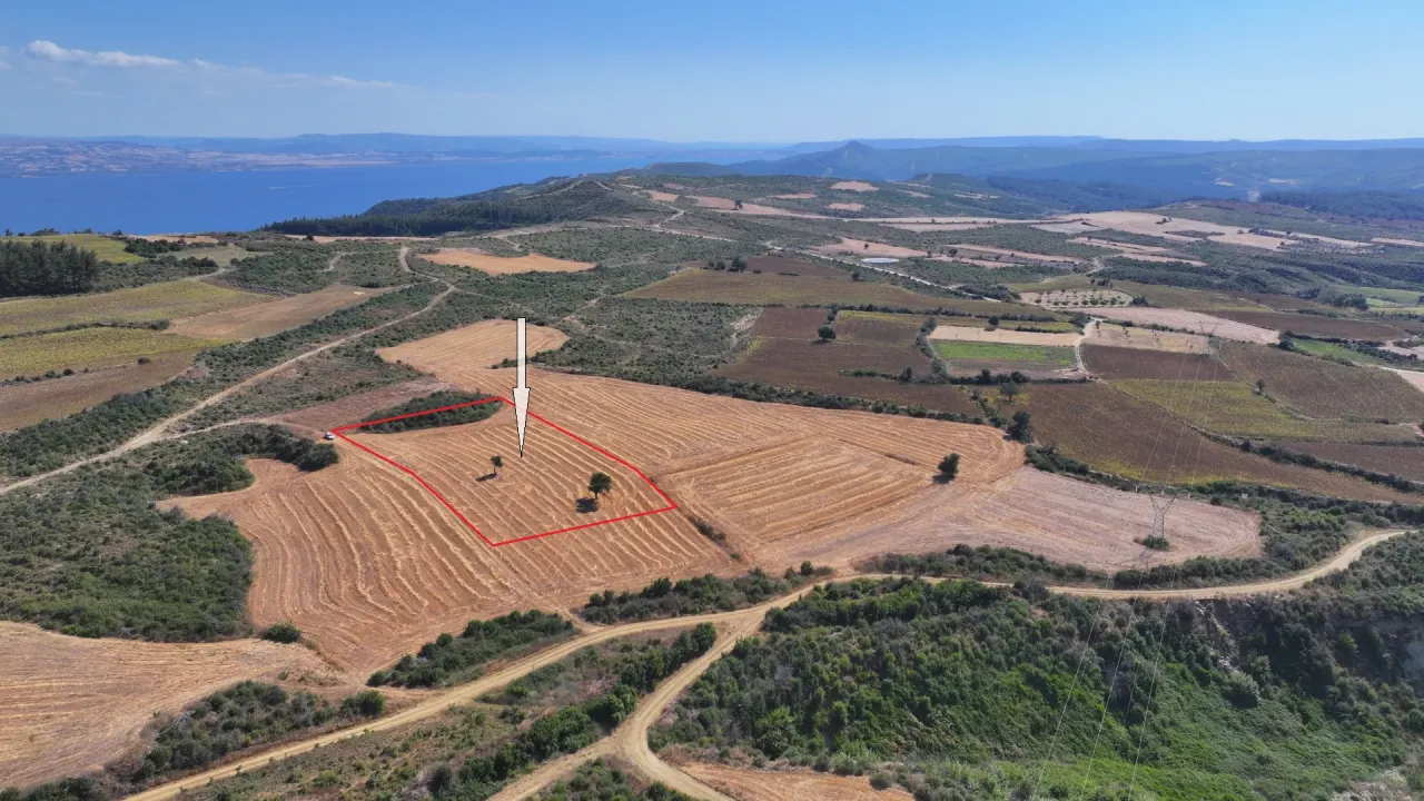 ÇANAKKALE GELİBOLU PAZARLI'DA MÜSTAKİL TAPULU 6,964m2 TARLA - görsel 6