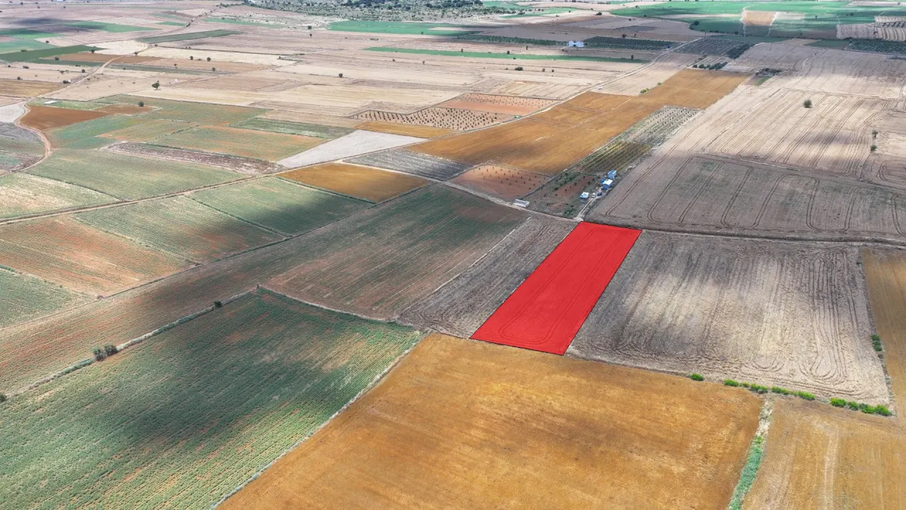 ÇANAKKALE GELİBOLU KALEALTINDA DENİZ MANZARALI 3,800m2 TARLA - görsel 23