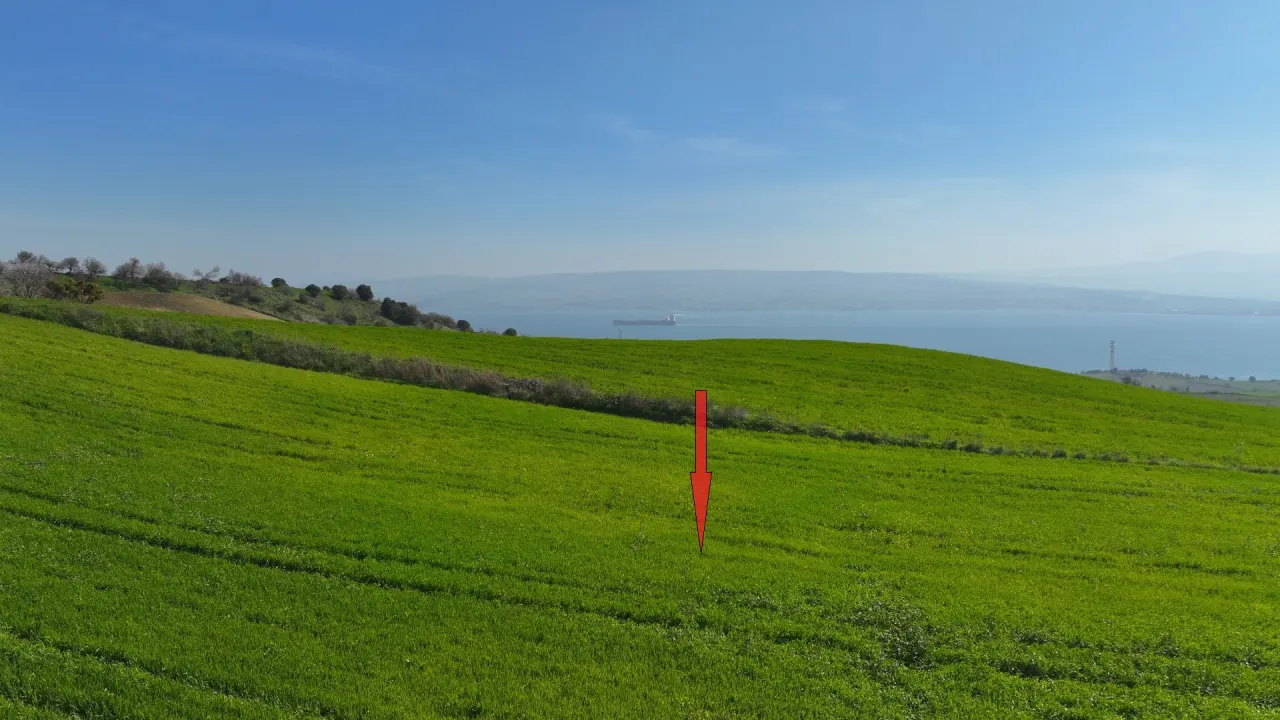 GELİBOLU BURHANLIDA BOĞAZ VE DENİZ MANZARALI 10,577m2 TARLA - görsel 8