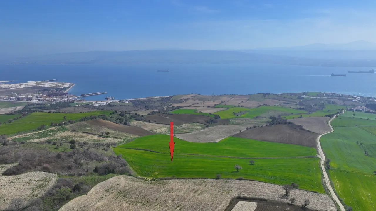 GELİBOLU BURHANLIDA BOĞAZ VE DENİZ MANZARALI 10,577m2 TARLA - görsel 15