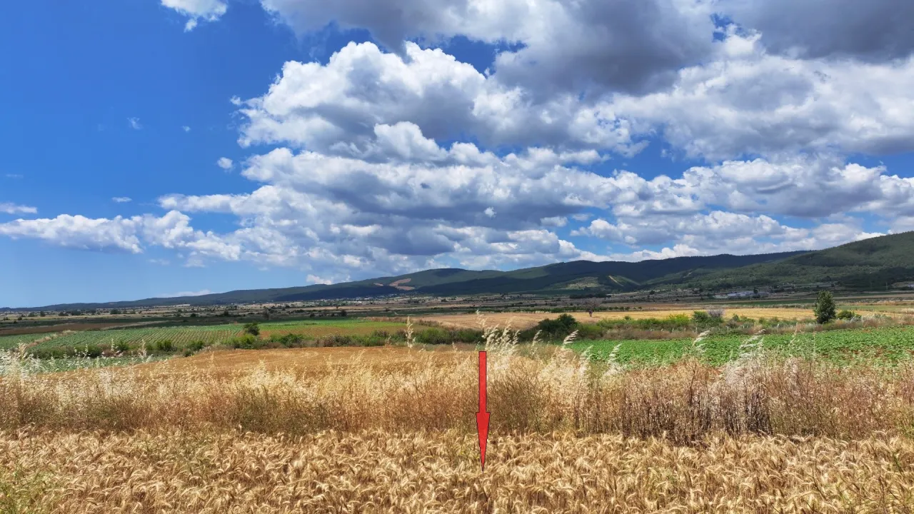 ÇANAKKALE GELİBOLU KALEALTINDA DENİZ MANZARALI 3,800m2 TARLA - görsel 25