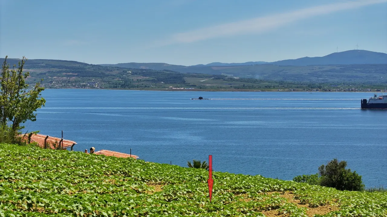 ÇANAKKALE GELİBOLU BURHANLI'DA BOĞAZ MANZARALI 8,062m2 TARLA - görsel 15