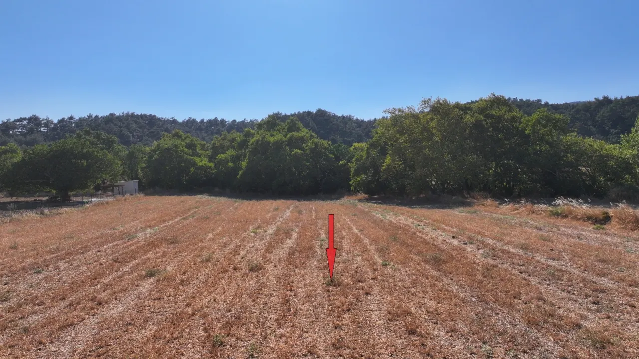 ÇANAKKALE GELİBOLU ILGARDERE'DE MÜSTAKİL TAPULU 3,975m2 TARLA - görsel 18