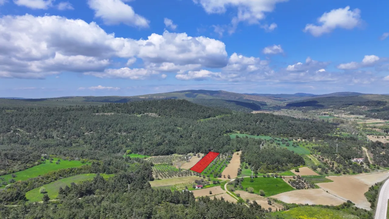 GELİBOLU ILGARDEREDE MÜSTAKİL TAPULU 4,205m2 ZEYTİNLİK - görsel 7