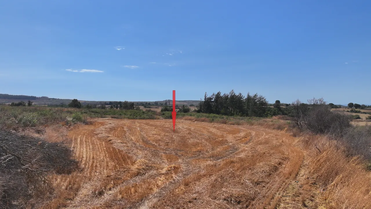 ÇANAKKALE GELİBOLU PAZARLI'DA KÖYE YAKIN MESAFEDE 2,050m2 TARLA - görsel 10