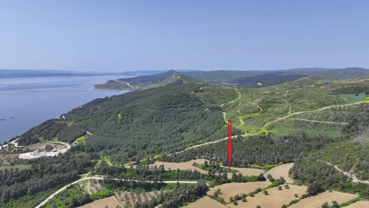 ÇANAKKALE GELİBOLU PAZARLIDA MÜSTAKİL TAPULU 6,517m2 TARLA - görsel 8