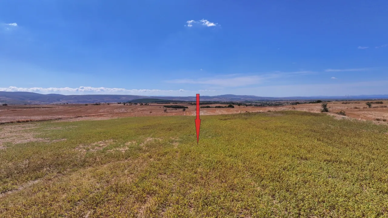 ÇANAKKALE GELİBOLU YÜLÜCE'DE 24,121m2 MÜSTAKİL TAPULU TARLA - görsel 18