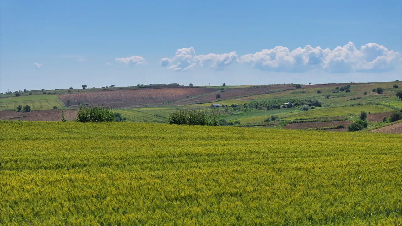 ÇANAKKALE GELİBOLU OCAKLIDA 502m2 MÜSTAKİL TAPULU ARSA - görsel 7