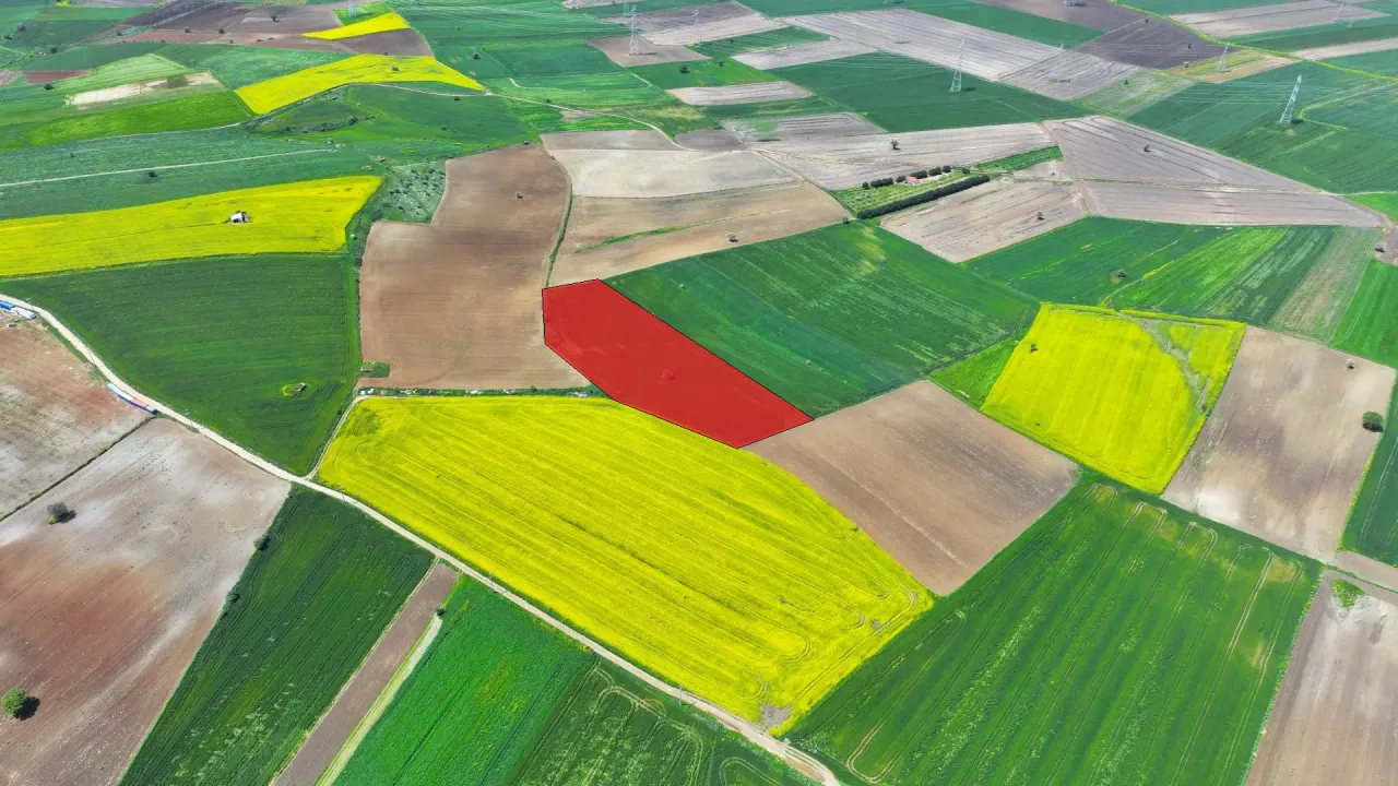 ÇANAKKALE GELİBOLU DEMİRTEPE'DE 14,223m2 MÜSTAKİL TAPULU TARLA - görsel 10