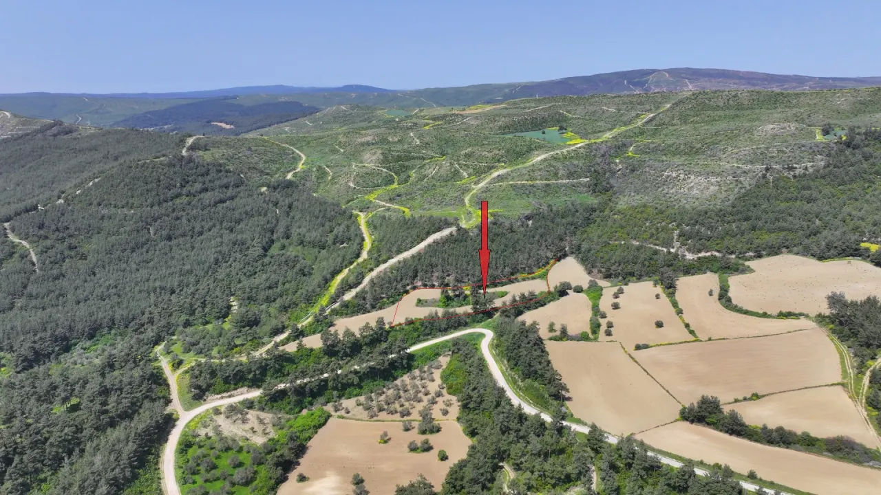 ÇANAKKALE GELİBOLU PAZARLIDA MÜSTAKİL TAPULU 6,517m2 TARLA - görsel 9