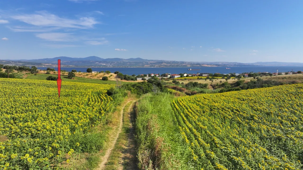 ÇANAKKALE GELİBOLU SÜTLÜCE'DE DENİZ MANZARALI 9,908m2 TARLA - görsel 16