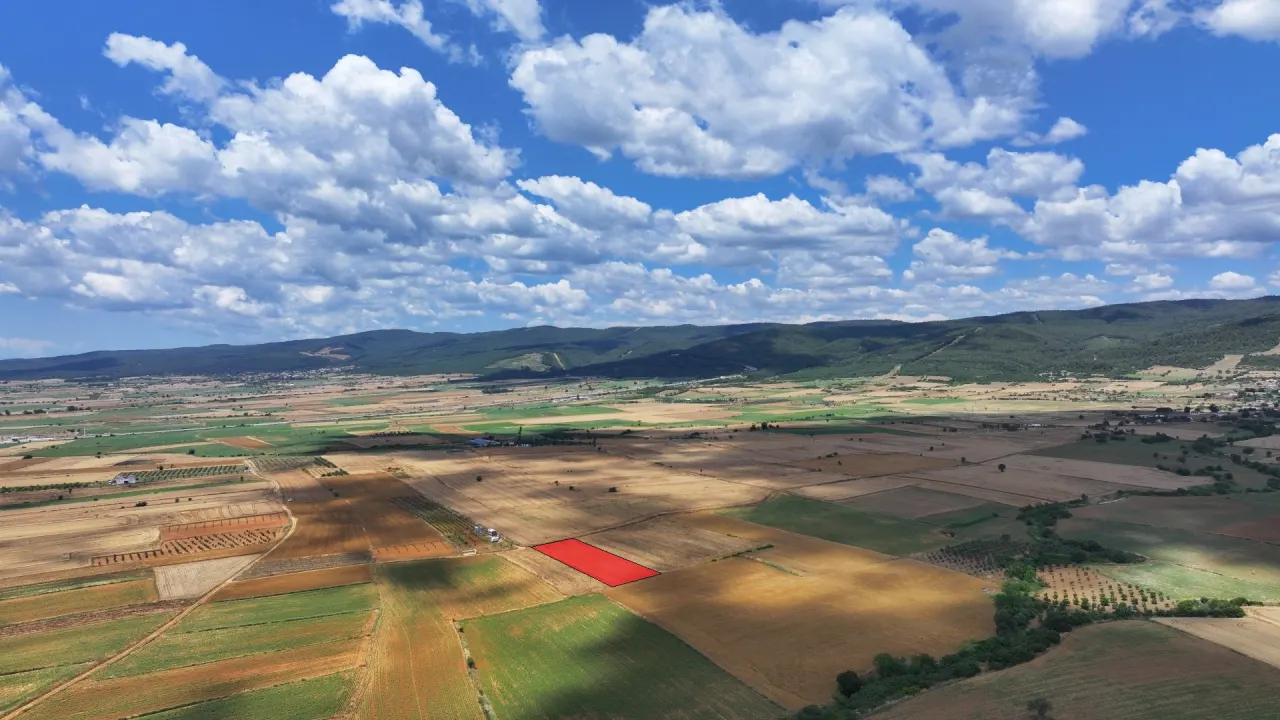 ÇANAKKALE GELİBOLU KALEALTINDA DENİZ MANZARALI 3,800m2 TARLA - görsel 5
