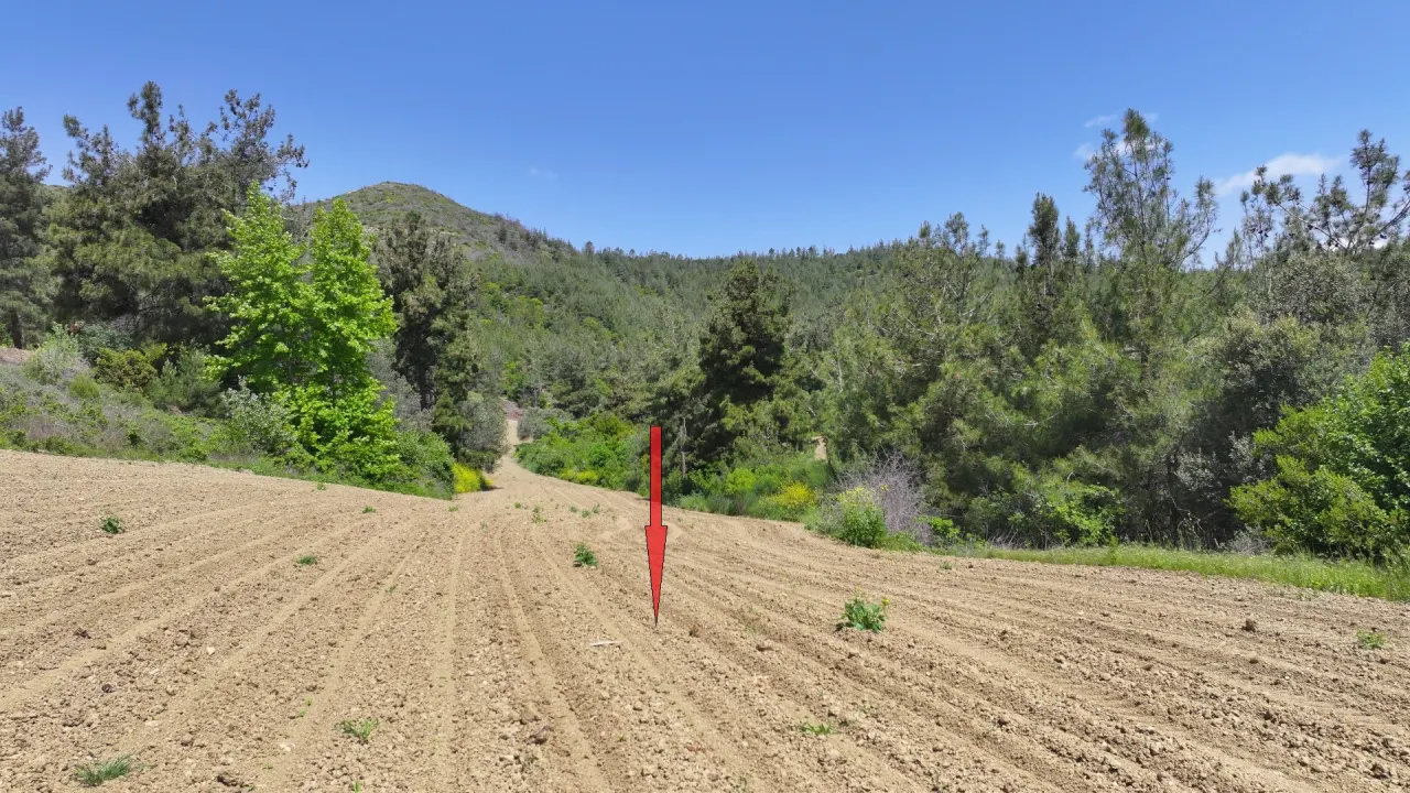 ÇANAKKALE GELİBOLU PAZARLIDA MÜSTAKİL TAPULU 6,517m2 TARLA - görsel 13