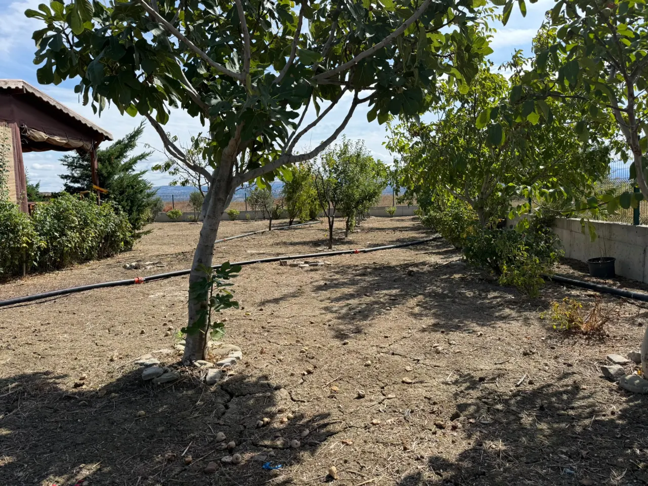ÇANAKKALE GELİBOLU SÜTLÜCE 875m2 KÖPRÜ VE DENİZ MANZARALI ARSA - görsel 23