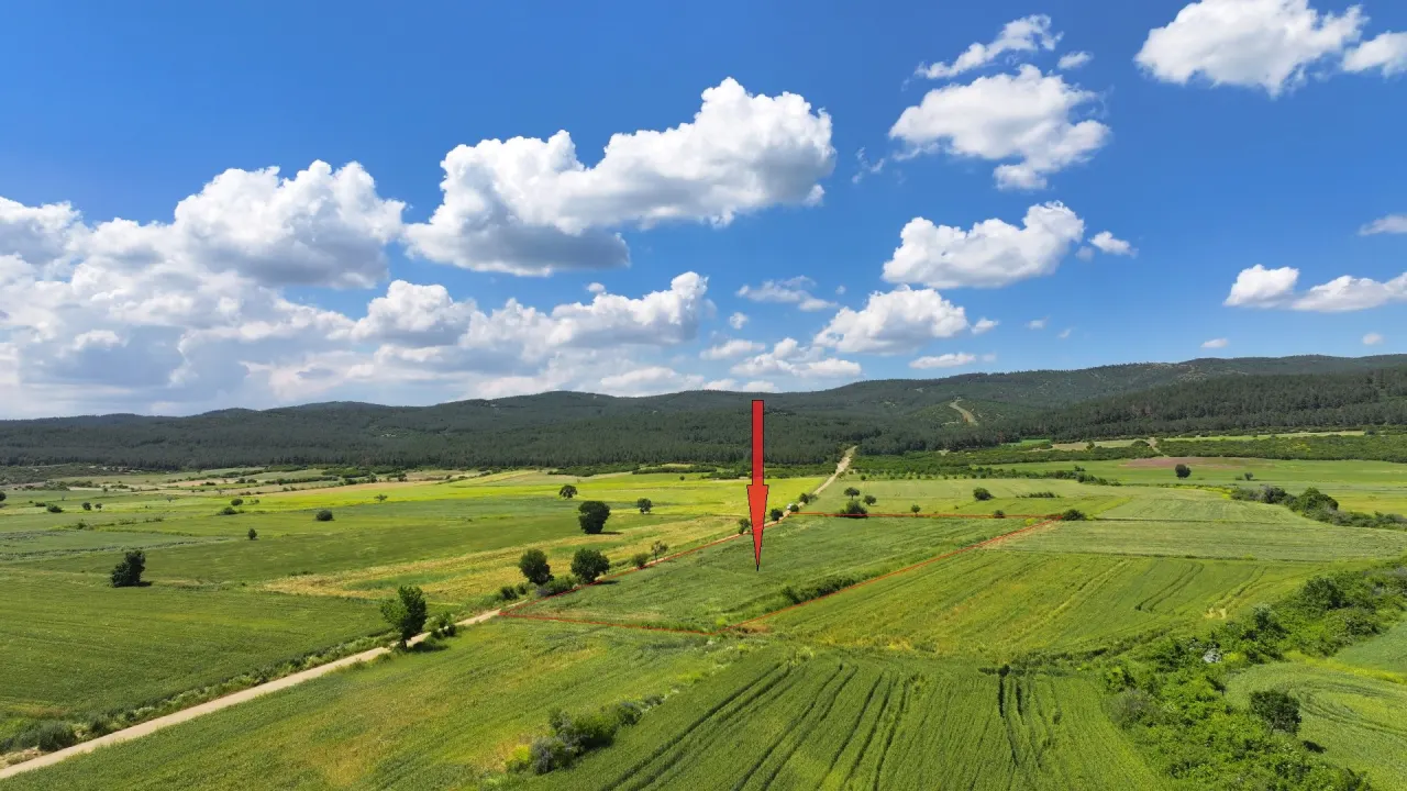 ÇANAKKALE GELİBOLU SÜLEYMANİYEDE MÜSTAKİL TAPULU 9,172m2 TARLA - görsel 3