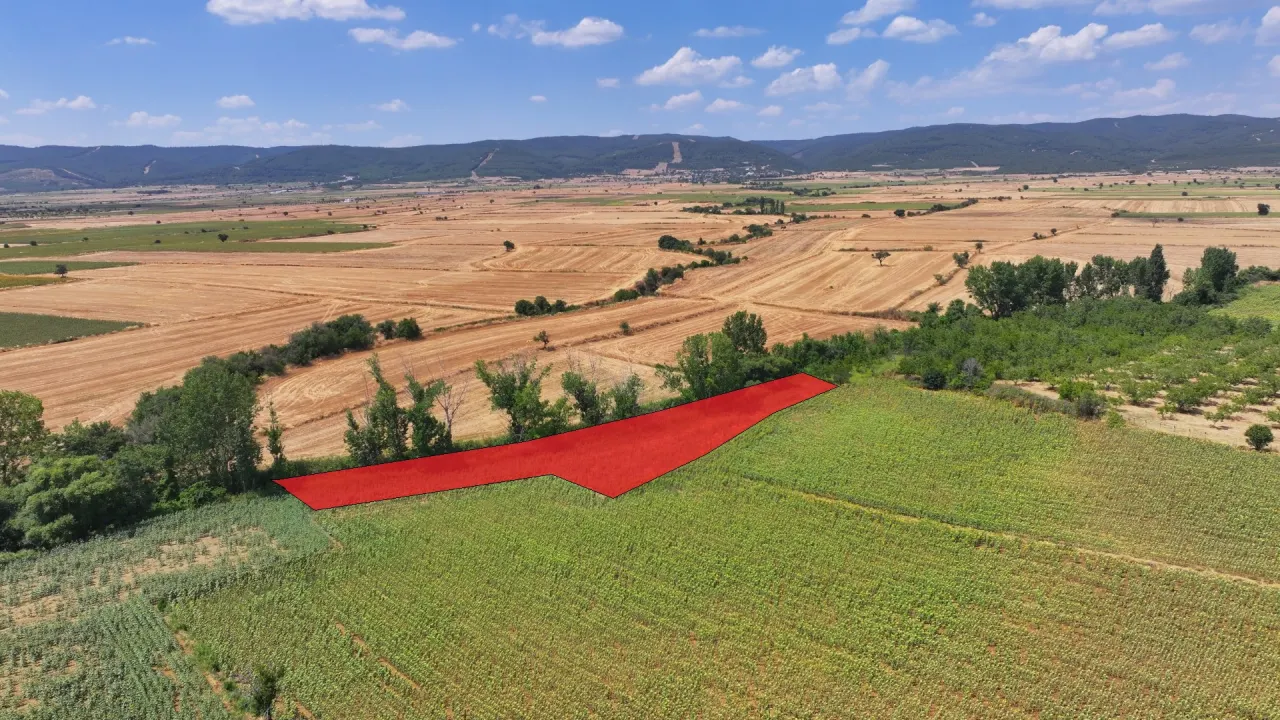 Çanakkale Gelibolu Şadıllı Köyünde Müstakil Tapulu 1,471m2 Tarla - görsel 3