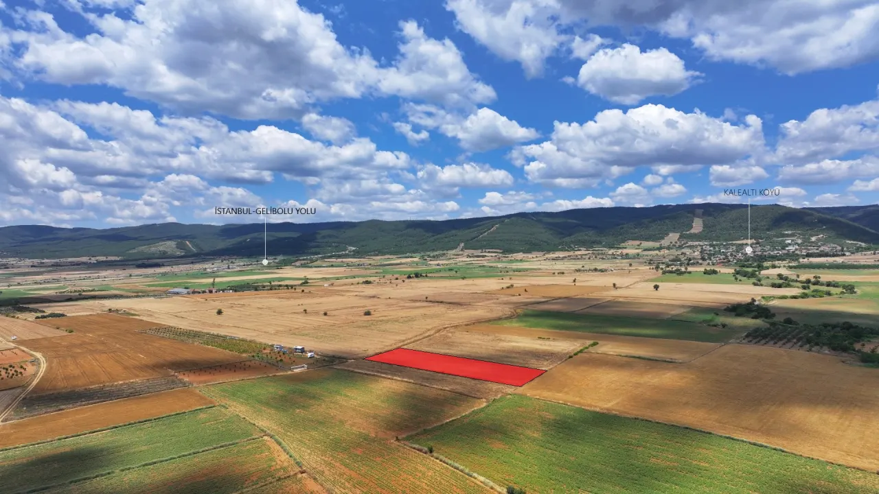 ÇANAKKALE GELİBOLU KALEALTINDA DENİZ MANZARALI 3,800m2 TARLA - görsel 3