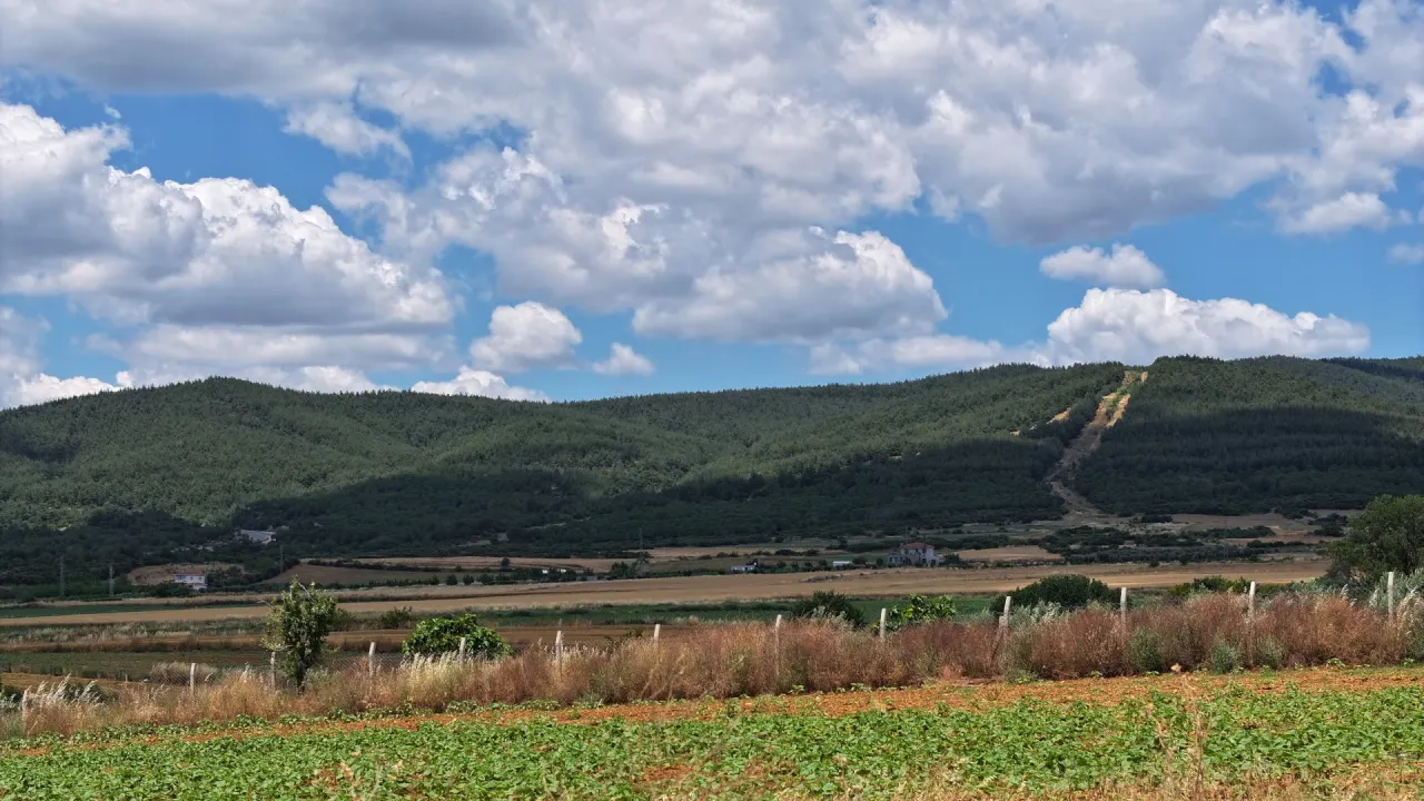 ÇANAKKALE GELİBOLU KALEALTINDA DENİZ MANZARALI 3,800m2 TARLA - görsel 27