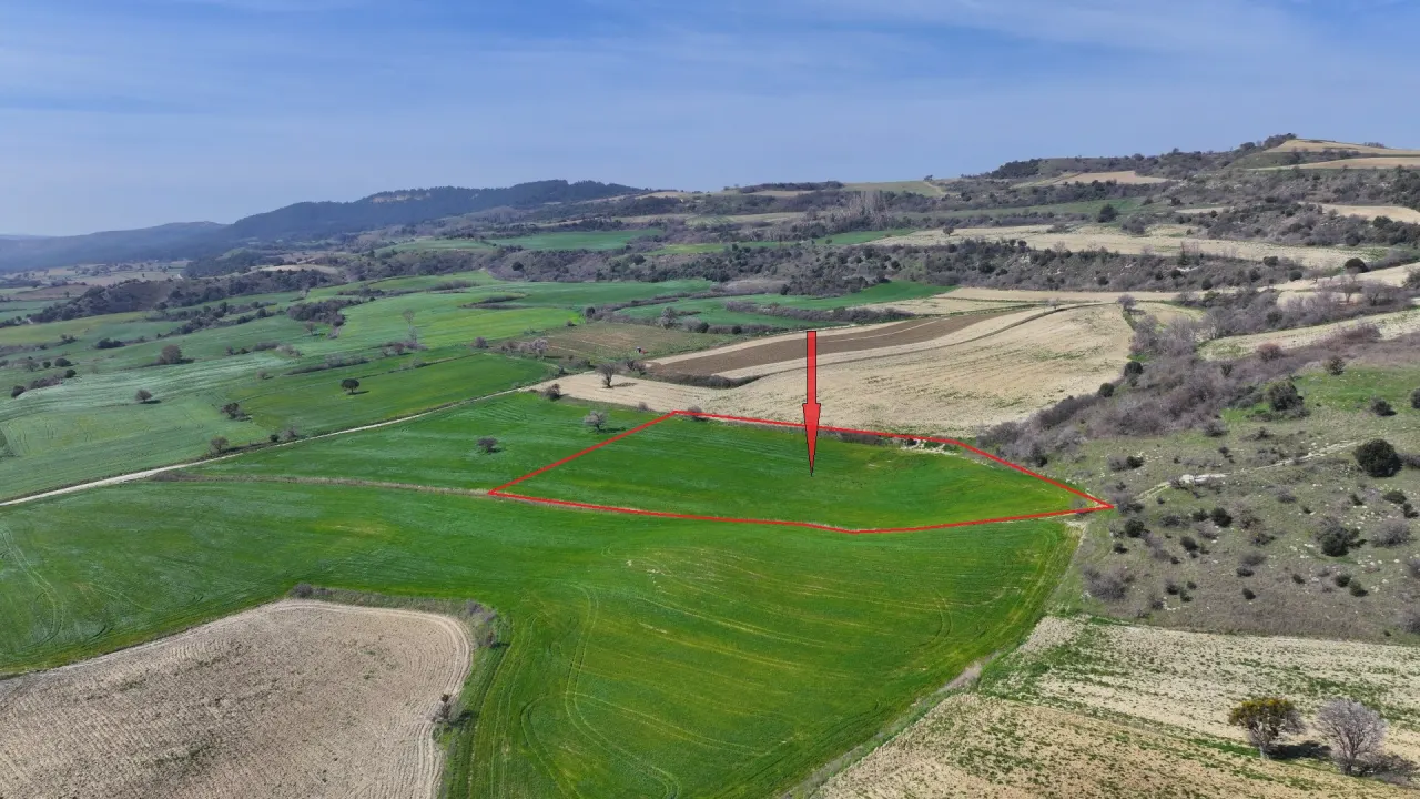 GELİBOLU BURHANLIDA BOĞAZ VE DENİZ MANZARALI 10,577m2 TARLA - görsel 17