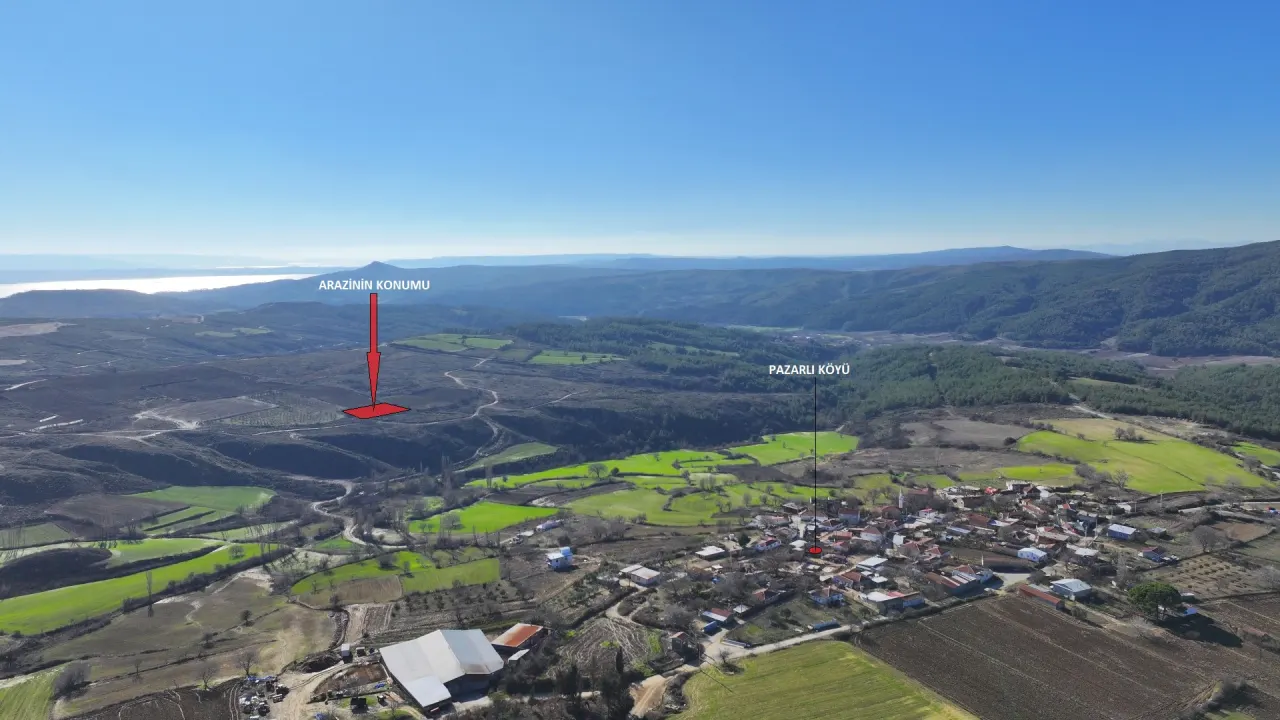 ÇANAKKALE GELİBOLU PAZARLIDA 2,885m2 TARLA - görsel 9