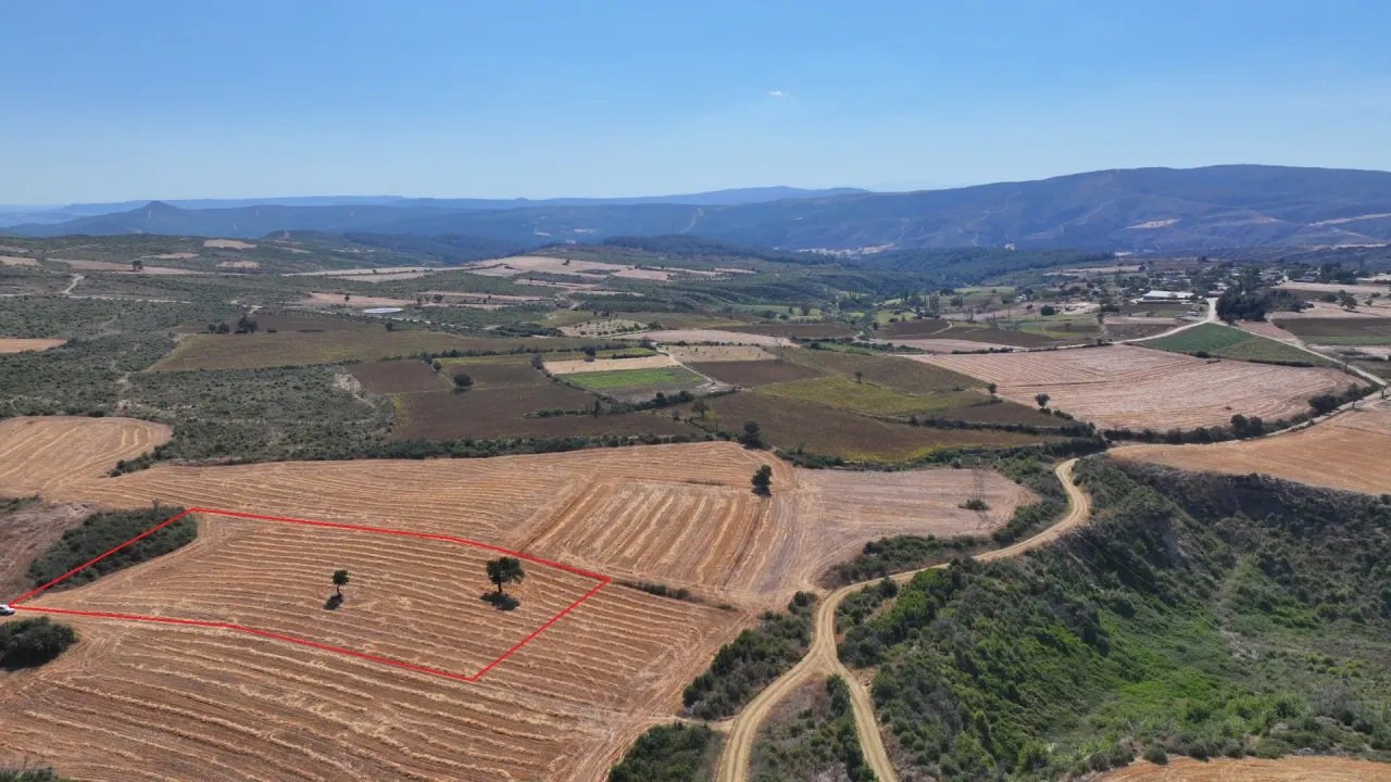 ÇANAKKALE GELİBOLU PAZARLI'DA MÜSTAKİL TAPULU 6,964m2 TARLA - görsel 8