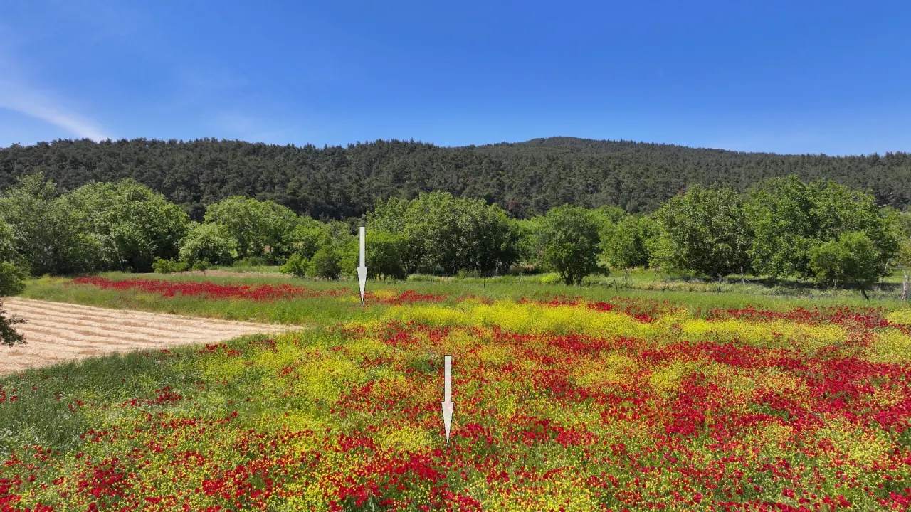 ÇANAKKALE GELİBOLU ILGARDERE'DE KÖY İÇERİSİNDE 5,140m2 TARLA - görsel 21