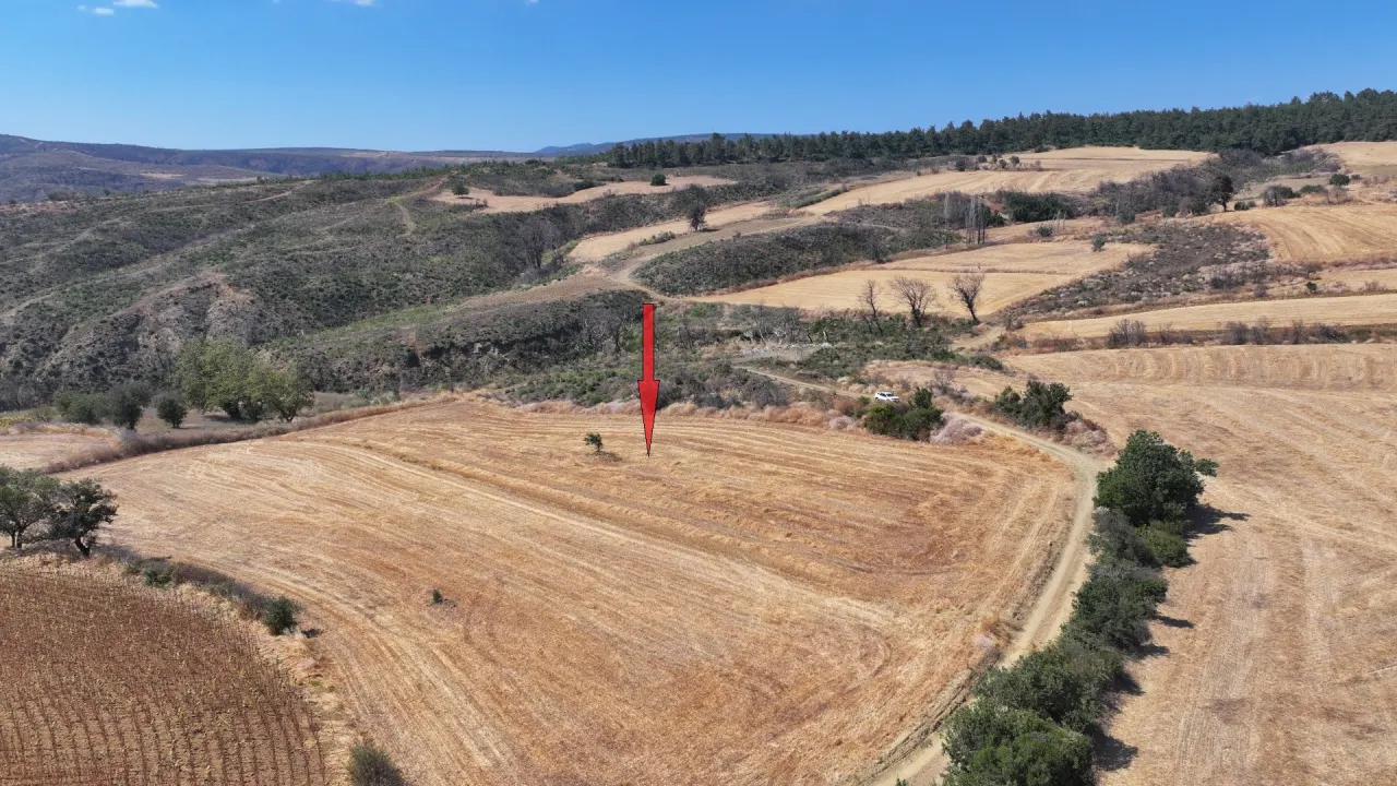 ÇANAKKALE GELİBOLU PAZARLIDA MÜSTAKİL TAPULU 6,493m2 TARLA - görsel 7