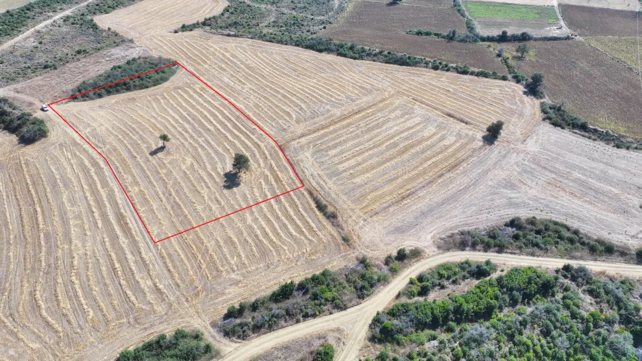 ÇANAKKALE GELİBOLU PAZARLI'DA MÜSTAKİL TAPULU 6,964m2 TARLA - görsel 10