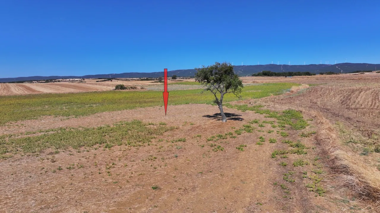 ÇANAKKALE GELİBOLU YÜLÜCE'DE 24,121m2 MÜSTAKİL TAPULU TARLA - görsel 16