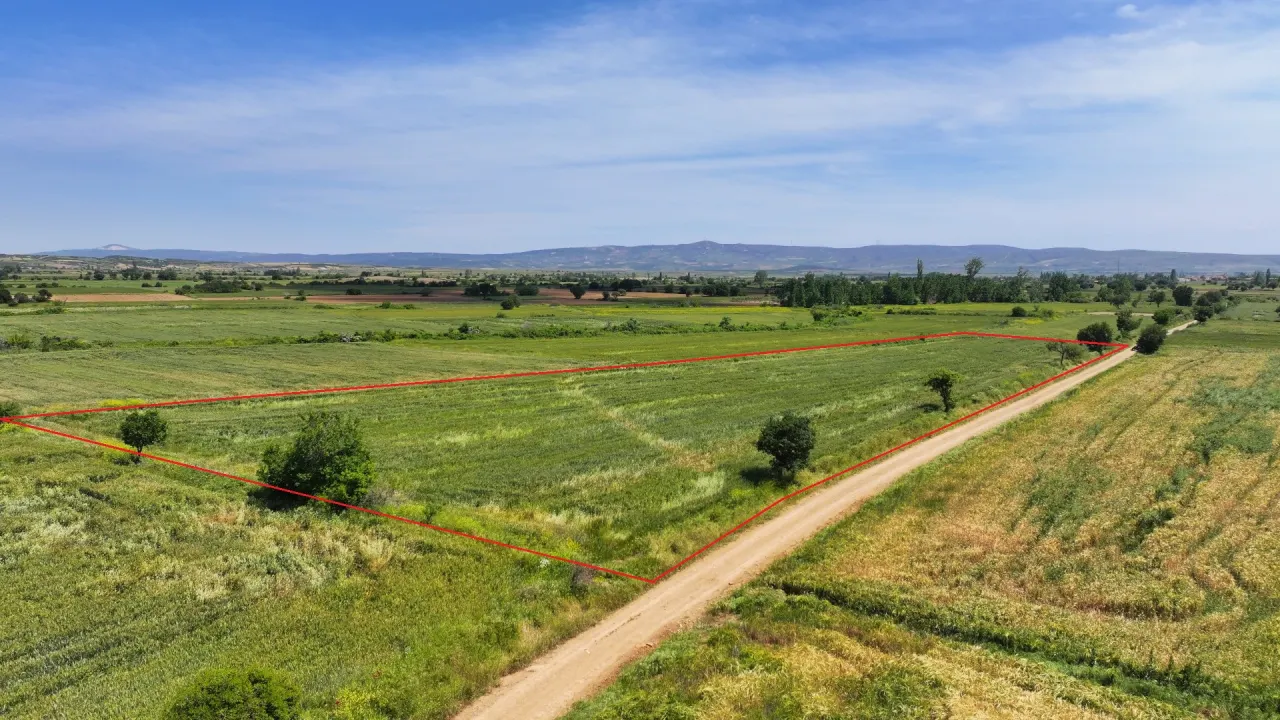 ÇANAKKALE GELİBOLU SÜLEYMANİYEDE MÜSTAKİL TAPULU 9,172m2 TARLA - görsel 11
