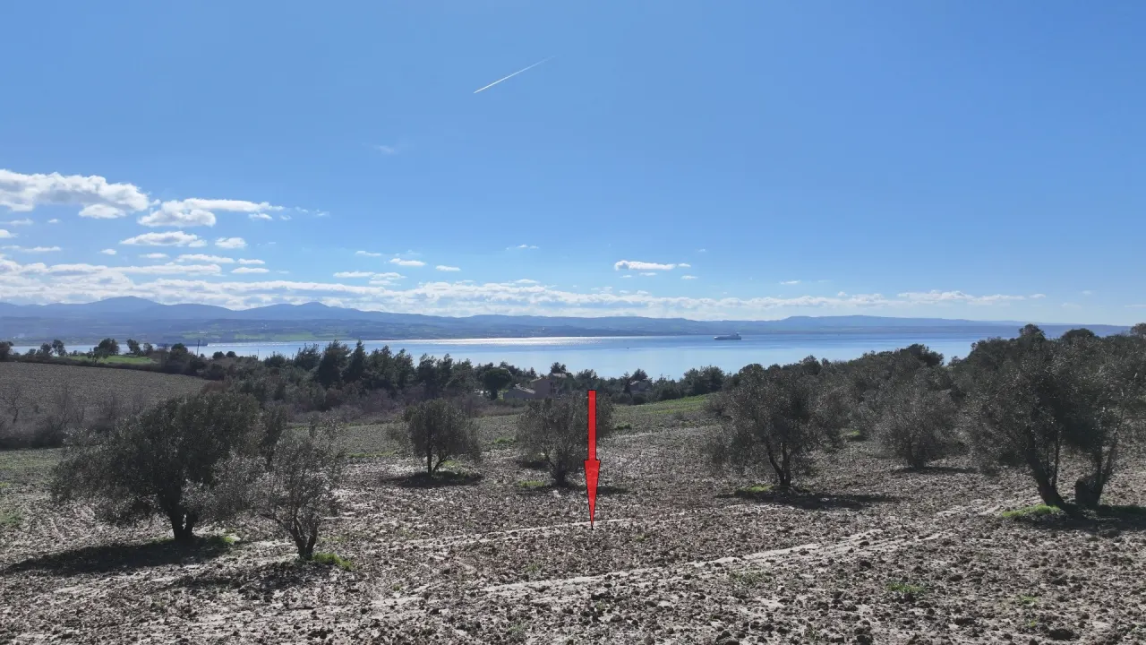 GELİBOLU BURHANLIDA DENİZ VE DOĞA MANZARALI 20,573m2 TARLA - görsel 4