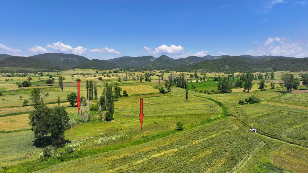 ÇANAKKALE GELİBOLU KARAİNEBEYLİ KÖYÜNDE 6,029m2 TARLA - görsel 8