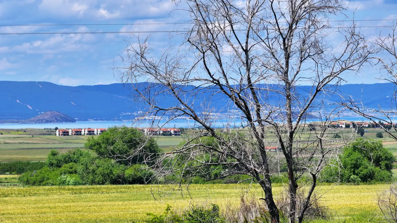 ÇANAKKALE GELİBOLU BOLAYIRDA ANAYOLA CEPHE 10,004m2 TARLA - görsel 14