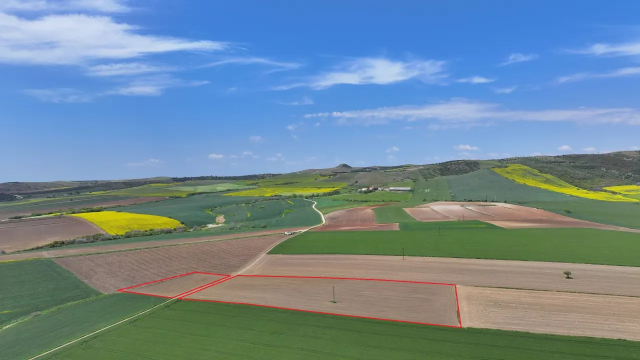 ÇANAKKALE GELİBOLU DEMİRTEPE'DE DENİZ MANZARALI 18,470m2 TARLA. - görsel 13