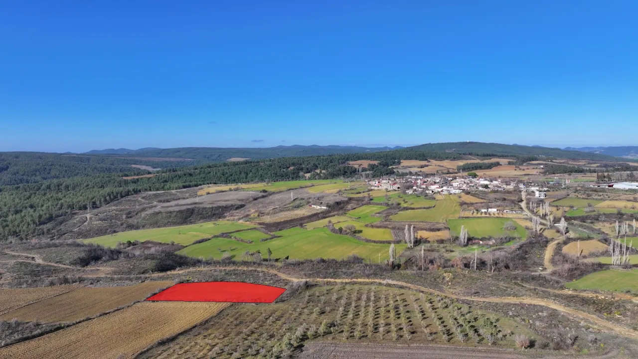 ÇANAKKALE GELİBOLU PAZARLIDA 2,885m2 TARLA - görsel 15