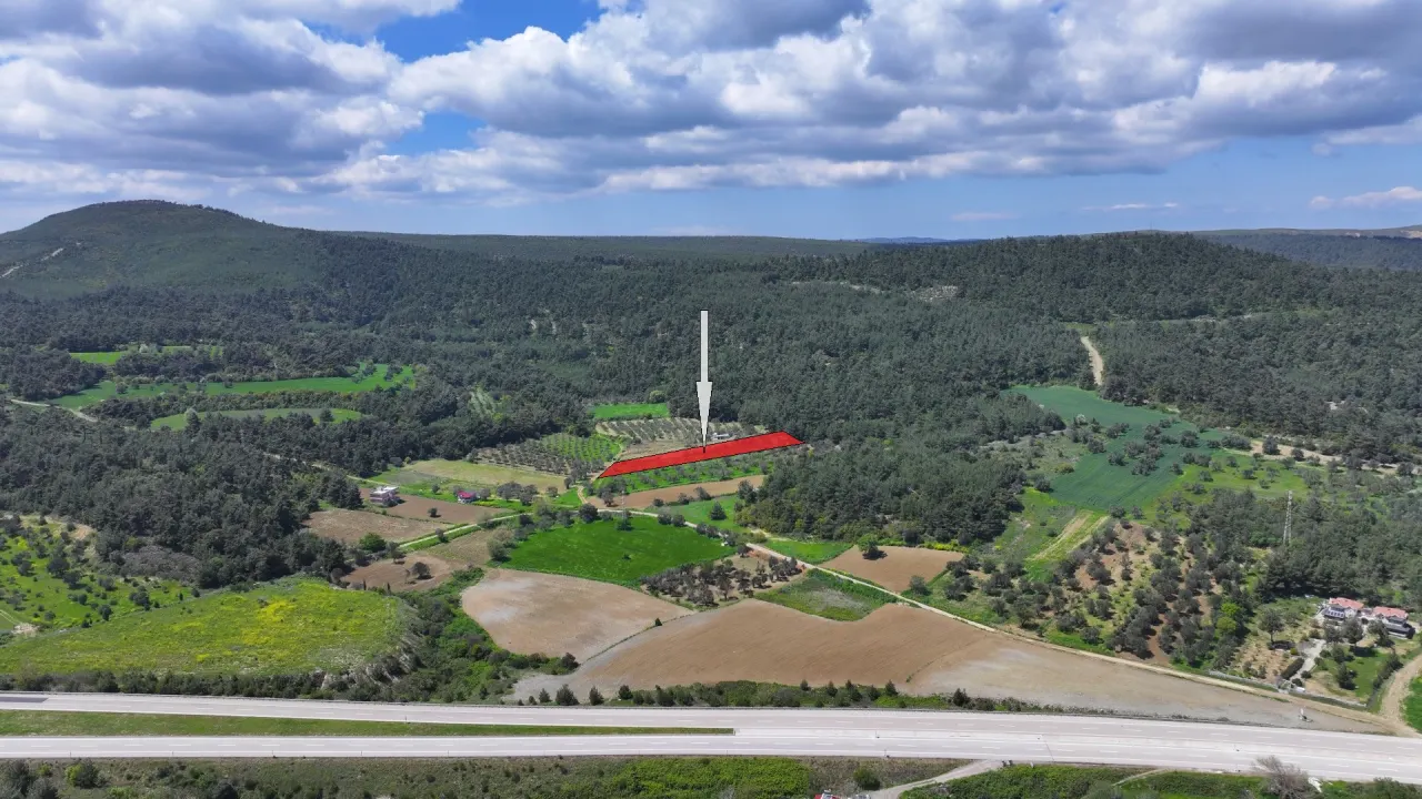 GELİBOLU ILGARDEREDE MÜSTAKİL TAPULU 4,205m2 ZEYTİNLİK - görsel 8