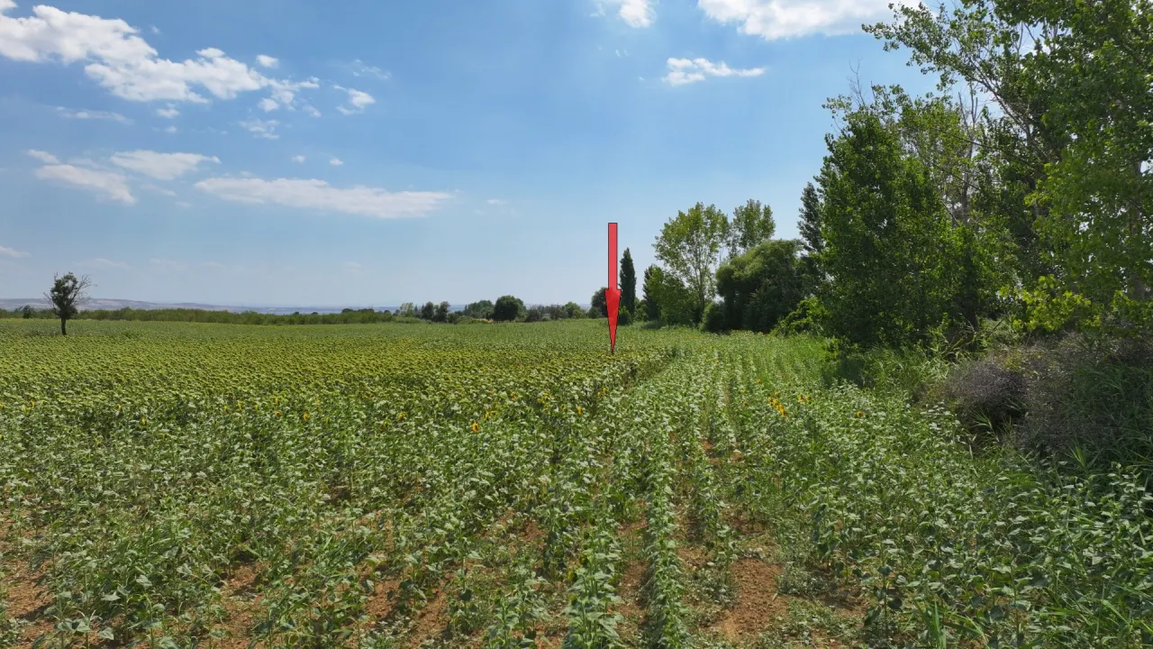 Çanakkale Gelibolu Şadıllı Köyünde Müstakil Tapulu 1,471m2 Tarla - görsel 10