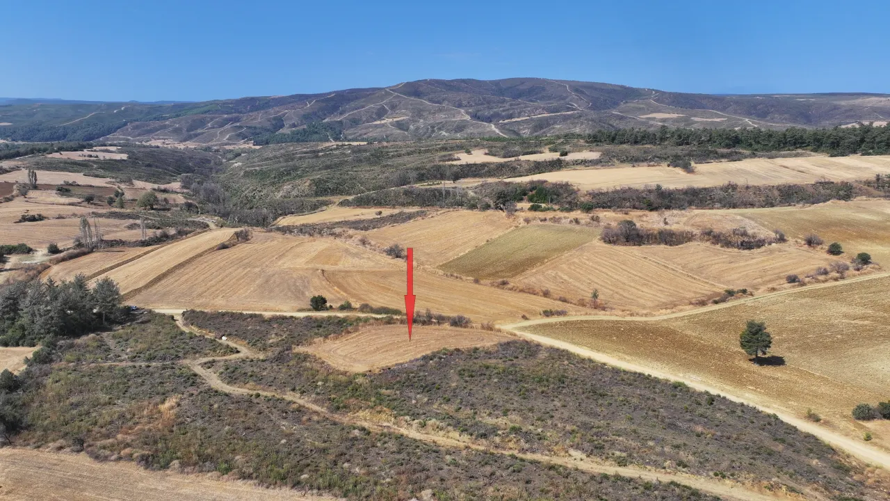 ÇANAKKALE GELİBOLU PAZARLI'DA KÖYE YAKIN MESAFEDE 2,050m2 TARLA - görsel 7