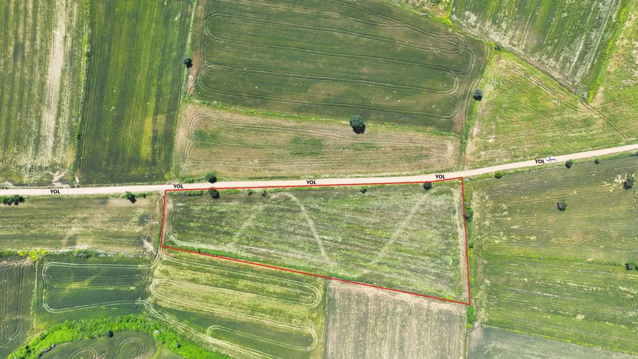 ÇANAKKALE GELİBOLU SÜLEYMANİYEDE MÜSTAKİL TAPULU 9,172m2 TARLA - görsel 22