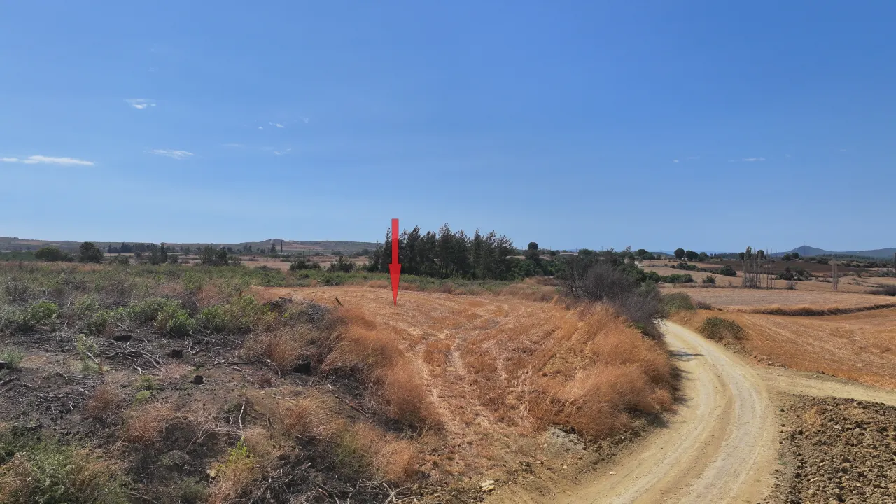 ÇANAKKALE GELİBOLU PAZARLI'DA KÖYE YAKIN MESAFEDE 2,050m2 TARLA - görsel 9