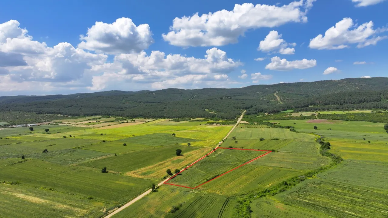 ÇANAKKALE GELİBOLU SÜLEYMANİYEDE MÜSTAKİL TAPULU 9,172m2 TARLA - görsel 2