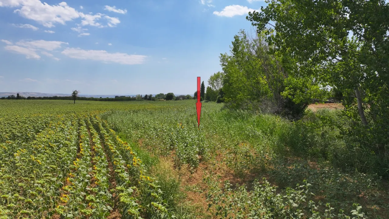 Çanakkale Gelibolu Şadıllı Köyünde Müstakil Tapulu 1,471m2 Tarla - görsel 7