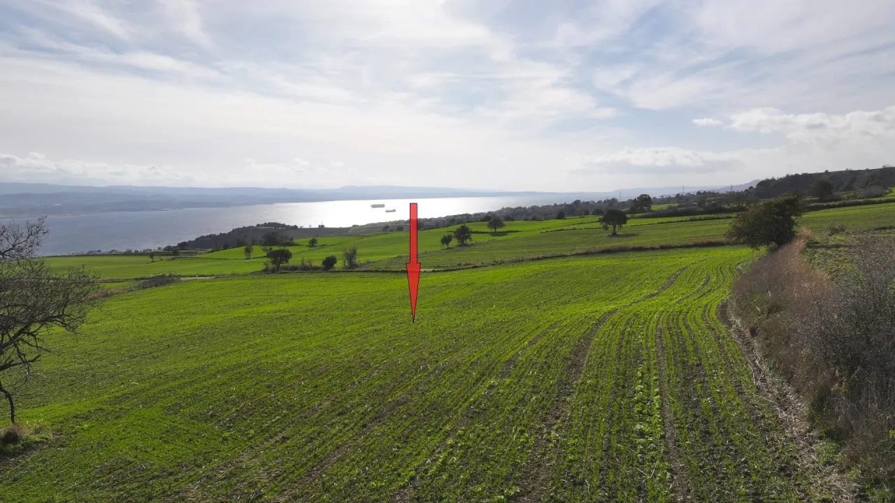 ÇANAKKALE GELİBOLU BURHANLI'DA 11,492m2 DENİZ MANZARALI TARLA - görsel 7
