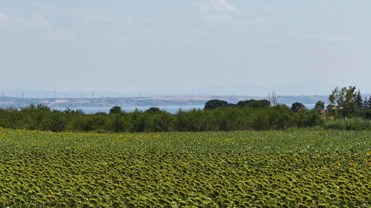 Çanakkale Gelibolu Şadıllı Köyünde Müstakil Tapulu 1,471m2 Tarla - görsel 14