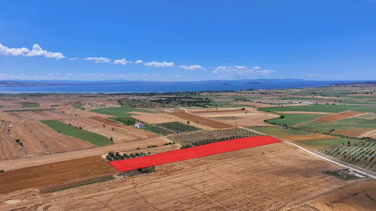 GELİBOLU KALEALTI KÖYÜNDE DENİZ MANZARALI 8,266m2 TARLA - görsel 7